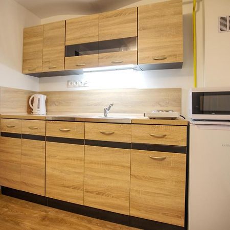Apartmanek Mezi Kopci Διαμέρισμα Jachymov Εξωτερικό φωτογραφία